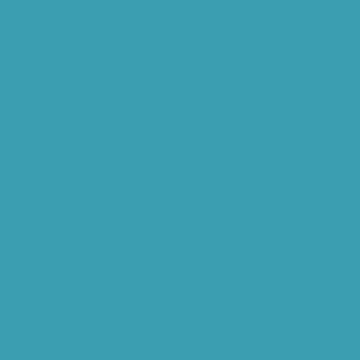 Good Morning Mikrofaser Strandtuch Liegetuch 75 X 150 cm Will blau – Bild 3