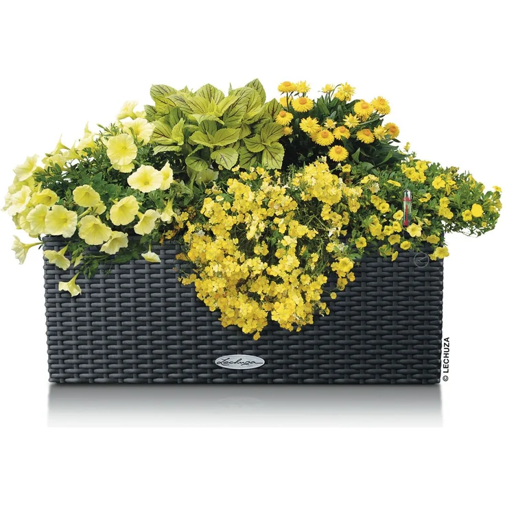 Lechuza Balkonkasten BALCONERA Cottage 50 cm, granit – Bild 4