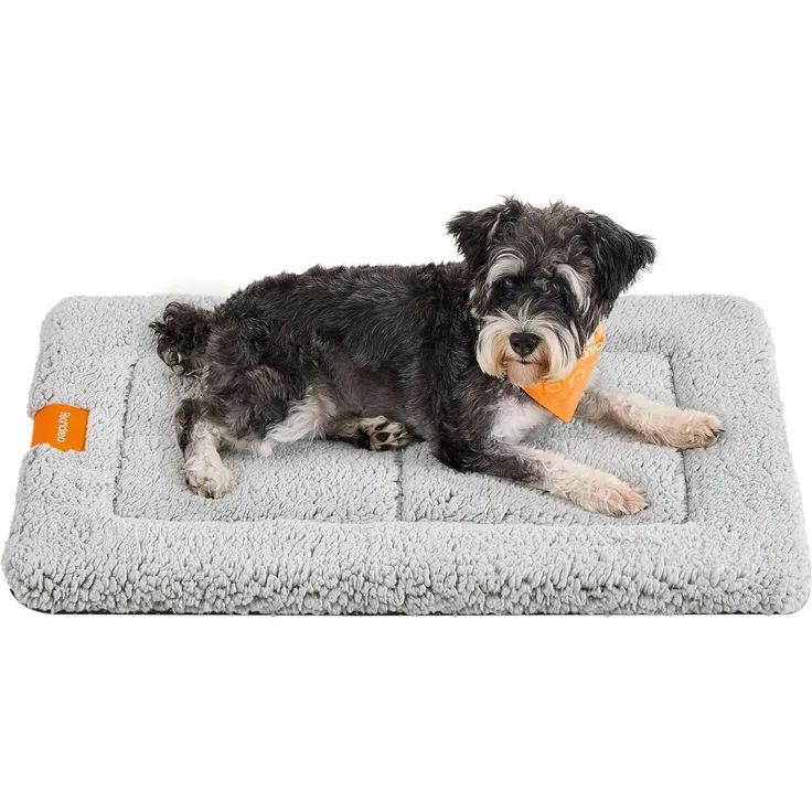 Feandrea Hundedecke, Haustier Decke, für Hunde, Katzen, 75 x 50 cm, M, maschinenwaschbar, trocknergeeignet, rutschfest, hellgrau