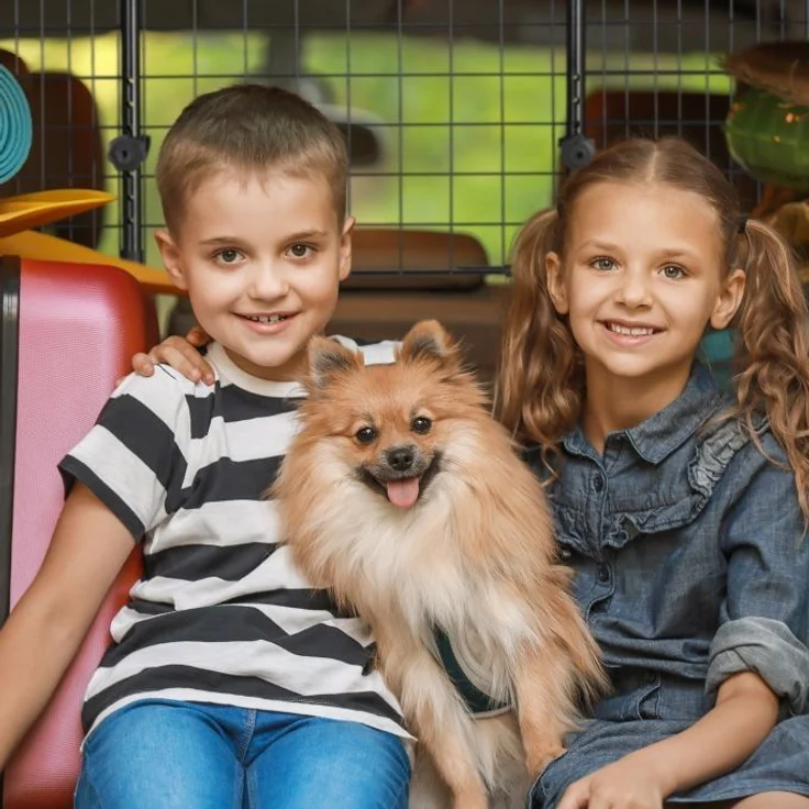 Hundegitter Auto Universal – Bild 5