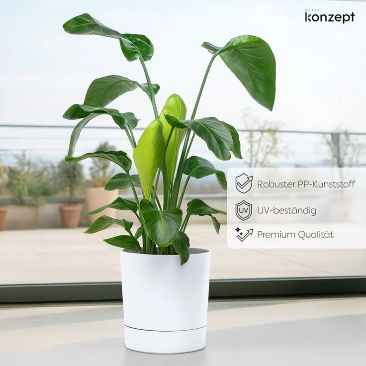 KONZEPT Blumentopf mit Untersetzer, großer Übertopf aus Kunststoff für Zimmerpflanzen (32,5 cm (20 Liter), modern und wetterfest, für Innen und Außen – Bild 3