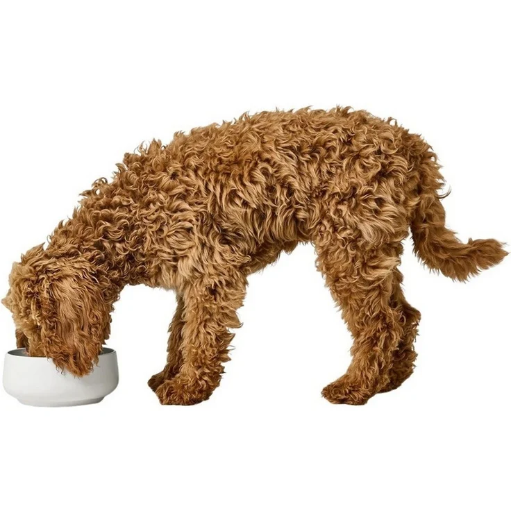 Hunter Tierbedarf Futternapf Hundenapf Mora weiß – Bild 2