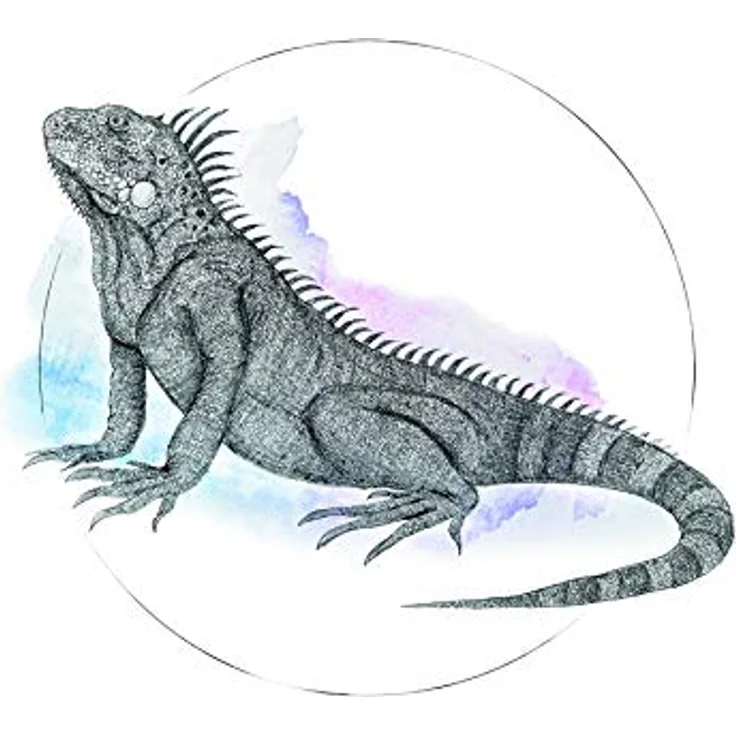 Komar Wandbild Iguana Watercolor, dekorativer Kunstdruck auf Premium-Poster Fotopapier, ohne Rahmen, 40 x 50 cm, MADE IN GERMANY – Bild 1