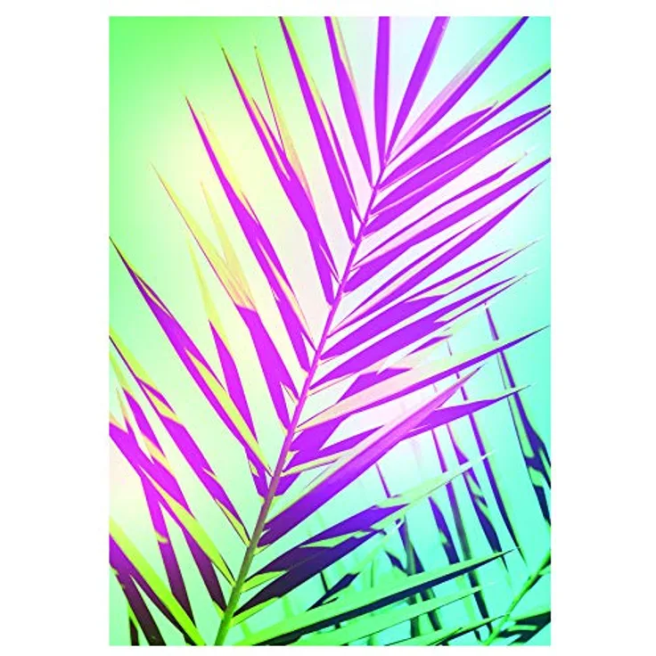 Komar Wandbild Shine, Poster auf Premium-Fotopapier, 50 x 70 cm, ohne Rahmen, für Wohnzimmer und Schlafzimmer, fotorealistische Druckqualität, MADE IN GERMANY
