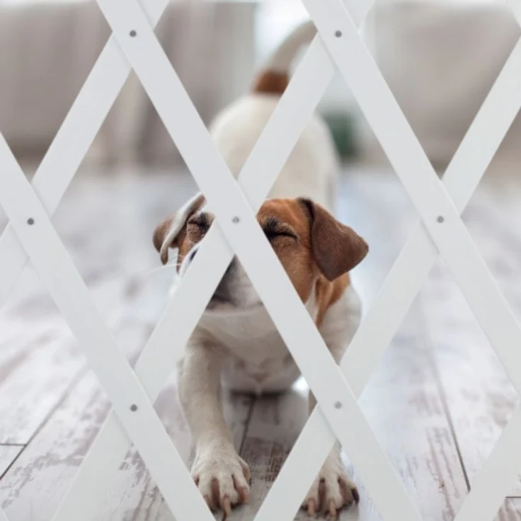Relaxdays Hundeabsperrgitter ausziehbar bis 126 cm, 70-82 cm hoch, Bambus, Hunde Schutzgitter, für Treppe & Tür, Weiß – Bild 5