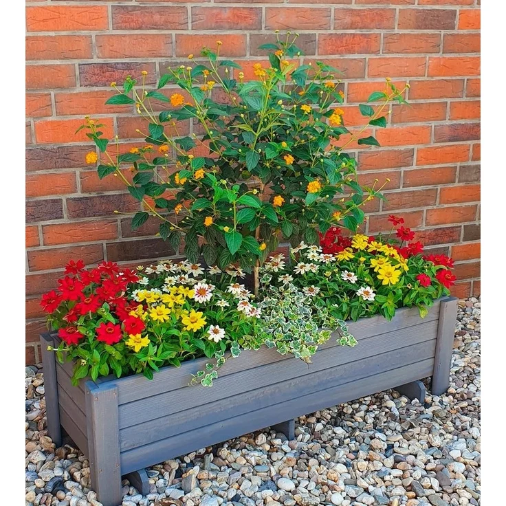 promadino Balkonkasten Romantica, BxTxH: 78x38x34 cm – Bild 1