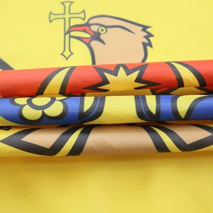 AZ FLAG Moldawien-Flagge, 150 x 90 cm, mit 4 Ösen, Moldawischer Pavillon, für Balkon oder Wand – Bild 2
