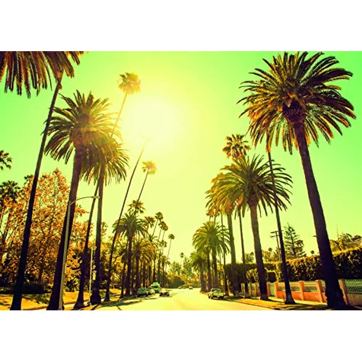 Komar Palm Alley Wandbild, Kunstdruck auf Premium-Poster Fotopapier, 70 x 50 cm, ohne Rahmen, für Wohnzimmer und Schlafzimmer – Bild 1