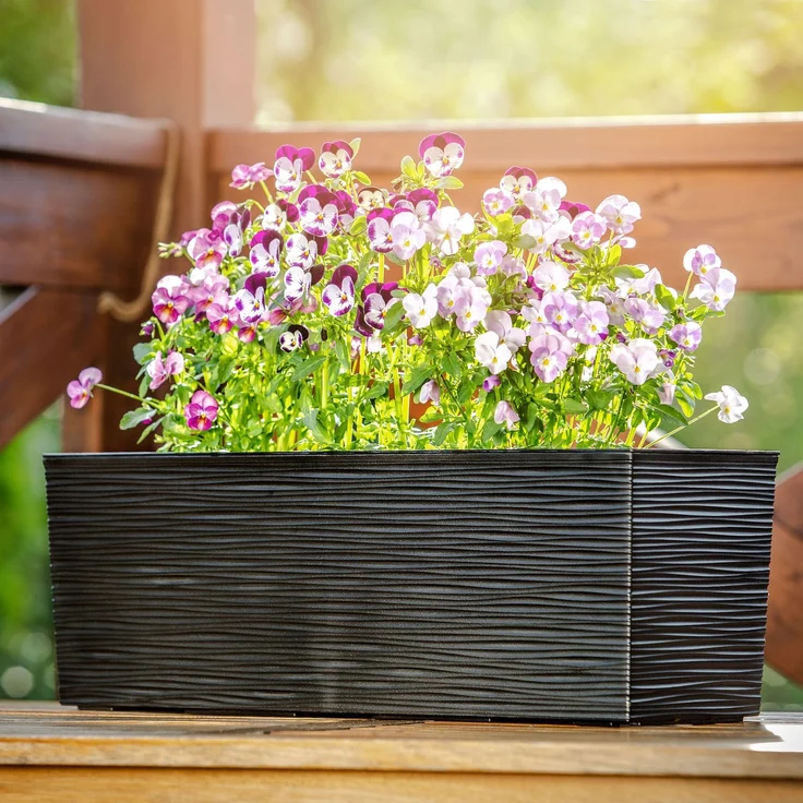 KADAX Blumentopf Balkonkasten + Einsatz 19x56cm Schwarz – Bild 5