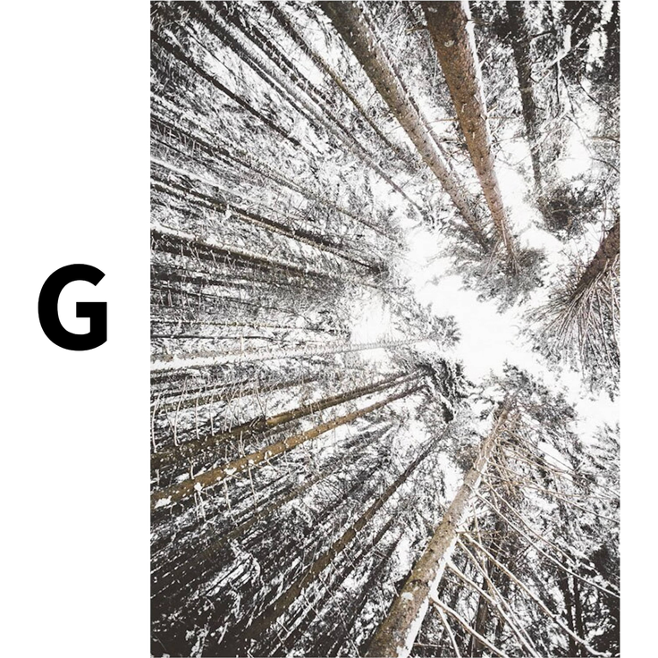 Poster Winter Holz Hütte im Schnee Rentier Tannenzapfen · Bilder Wohnzimmer · Wandbilder Schlafzimmer · Deko Print ohne Rahmen - G / 15 x 20 cm