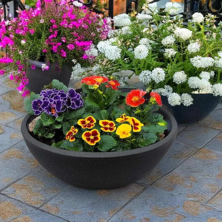 Spetebo Kunststoff Pflanzschale anthrazit - 52x20 cm - Pflanzkübel Blumenkübel Pflanztopf Blumentopf – Bild 8