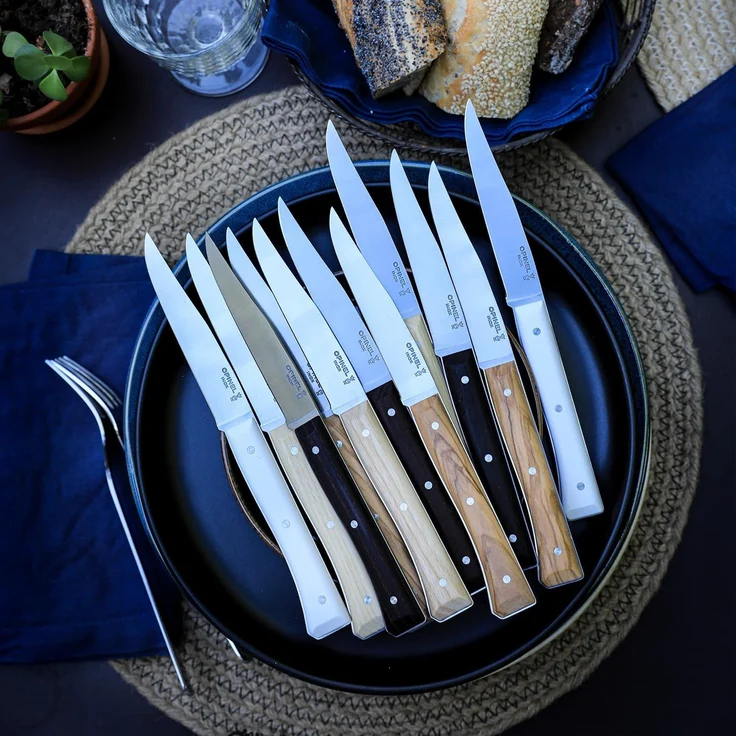 Opinel Tischmesserset Facette 4-teilig Schiefer – Bild 5
