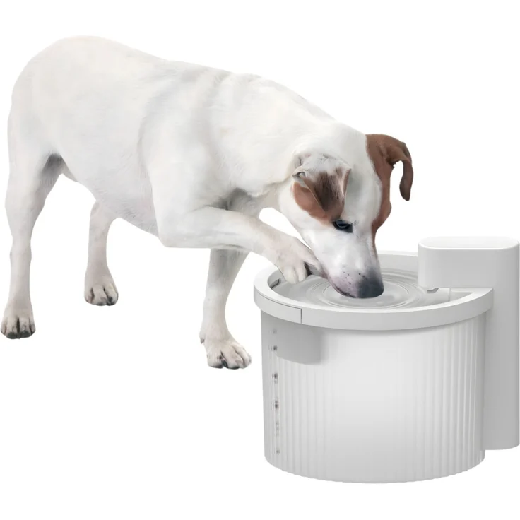AFP Trinkbrunnen für Hunde – Bild 2