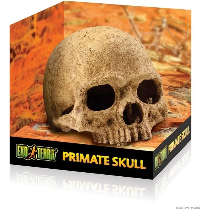 Exo Terra Terrariendeko Versteck Primate Skull