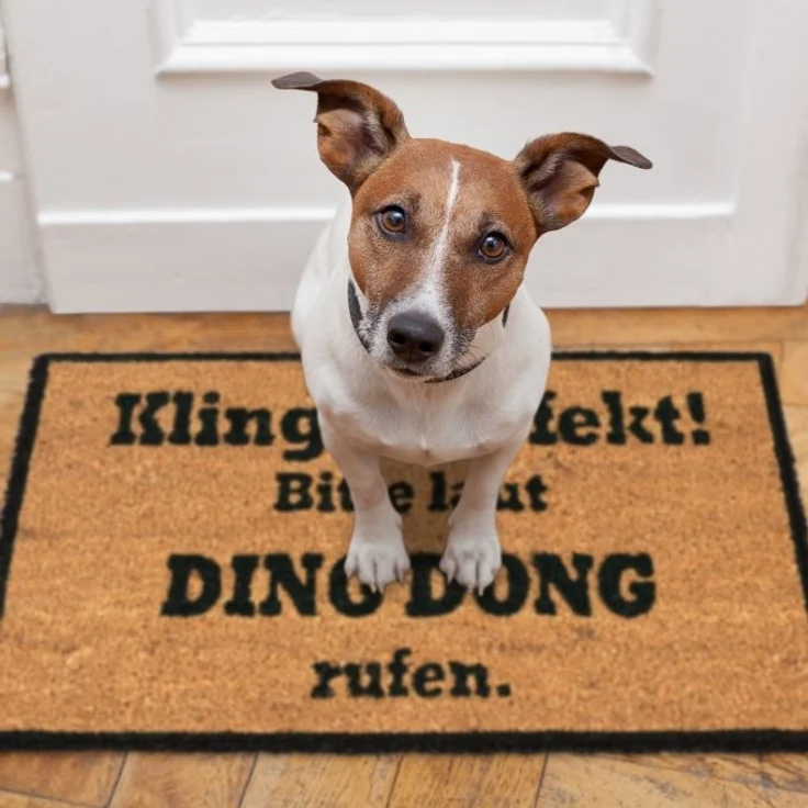 Kokosmatte DING DONG 10023846 – Bild 5
