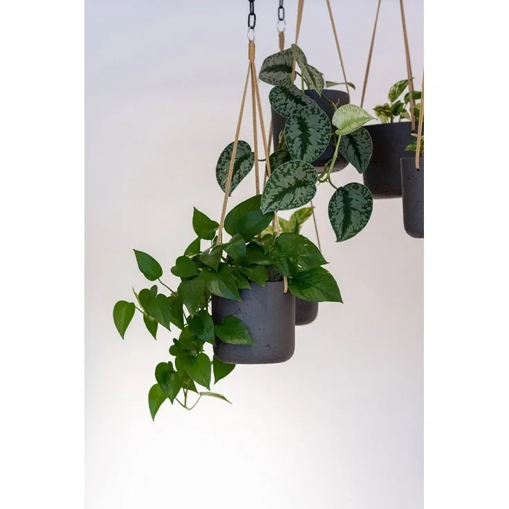 finestgreen Blumenampel Handgefertigte Blumenampel Hanging Charlie