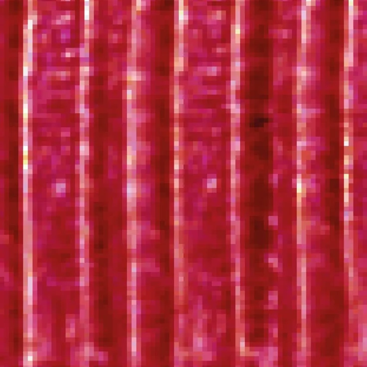 Fadenvorhang Lurex- Optik Fadengardine mit Stangendurchzug Türvorhang, attraktiv und modern in vielen verschiedenen Ausführungen erhältlich Rot 90x200cm – Bild 8