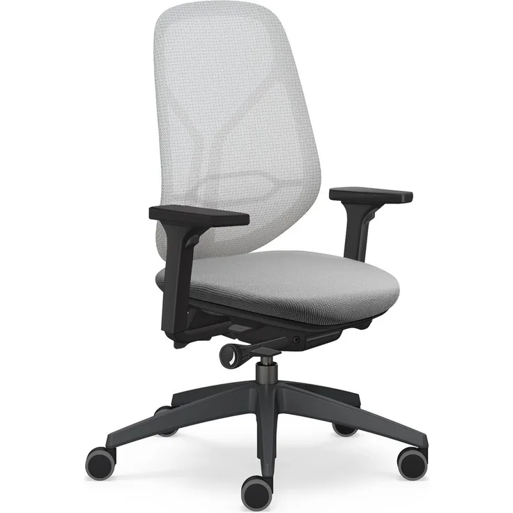 Sedus se:kit pro ergonomischer Bürostuhl mit Membranbespannung, Lordose, 3D Armlehnen, Sitz mit Tiefenverstellung, Höhenverstellbar 40-53cm, bis 150kg belastbar, Made in Germany