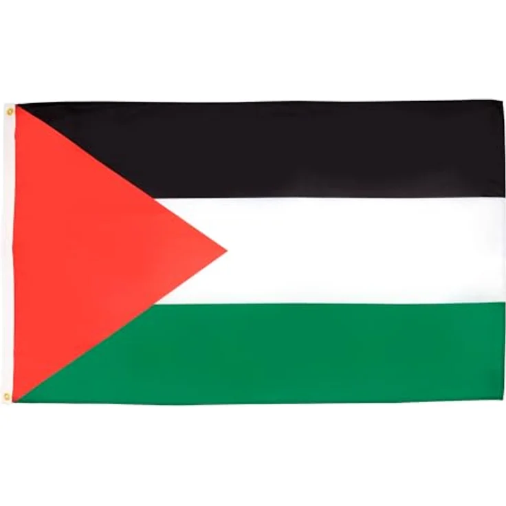 AZ FLAG - Flagge Palästina - 90x60 cm - Palästinensische Fahne 100% Polyester mit Messing-Ösen - 50g – Bild 1