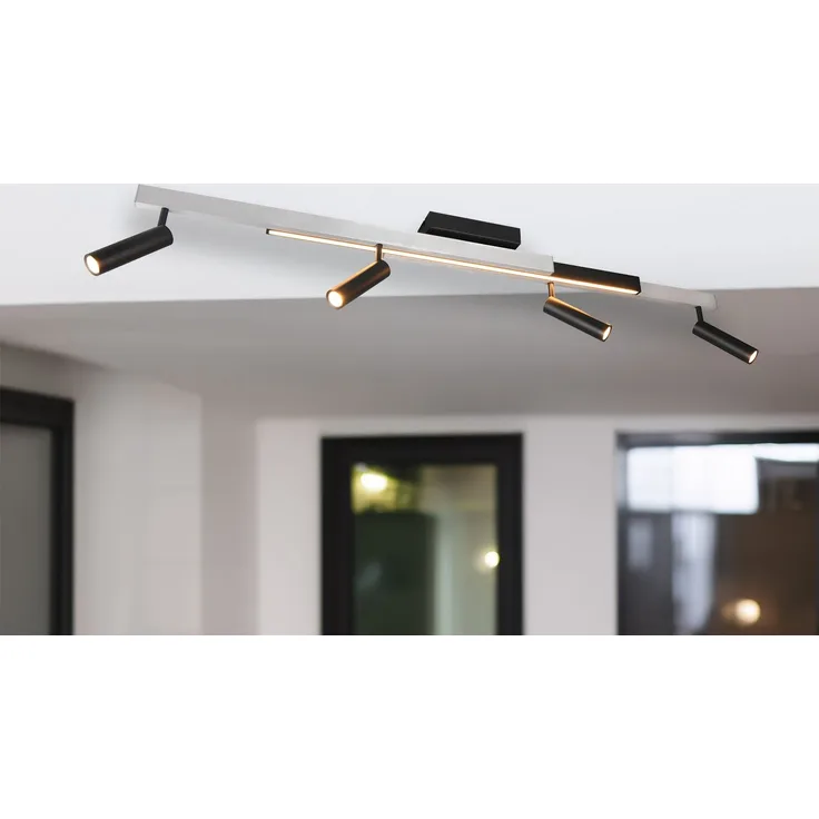 TRIO Deckenleuchte LED 648310505