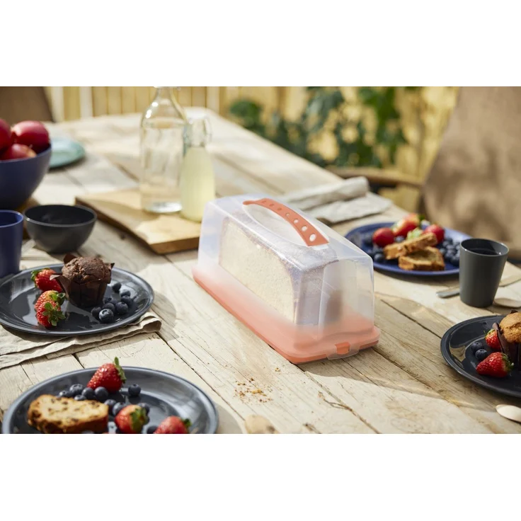 Rotho Kuchenbehälter Fresh 36 x 17 cm koralle – Bild 1