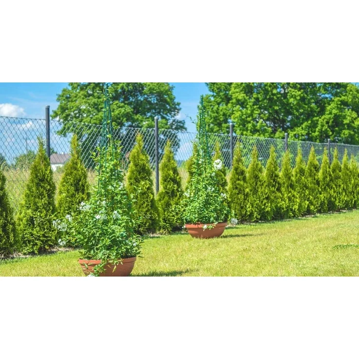 KADAX Pflanzenstütze für den Garten, Rankenkegel, 120 cm – Bild 9