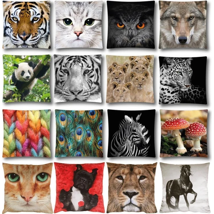 Bestlivings Dekokissen Fotodruck Motiv in 40x40 cm, Flauschig weiches Kissen in vielen Motiven erhältlich ( Design: Sittiche ) – Bild 1