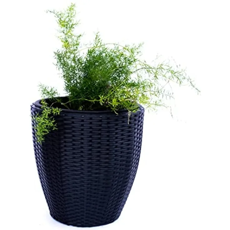 Pflanzkübel Blumenkübel Blumentopf rund konisch Polyrattan D46xH46cm schwarz.