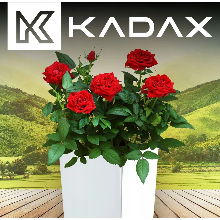 KADAX Blumentopf + Einsatz 29x58cm hoch Weiß glänzend – Bild 5