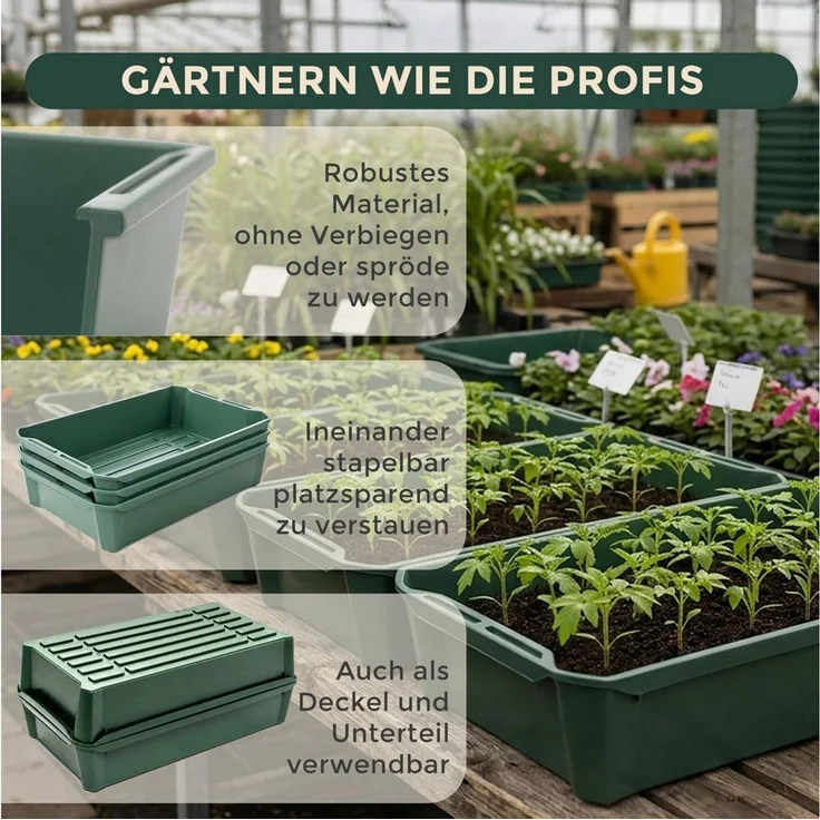 Hausfelder Pflanzschale Pikierschale, Anzuchtschale Grün, 32x58x11cm, 10 Sttück (10er Set, 10 St), als Pflanzwanne, Blumenkasten oder Anzuchtschale nutzbar – Bild 2