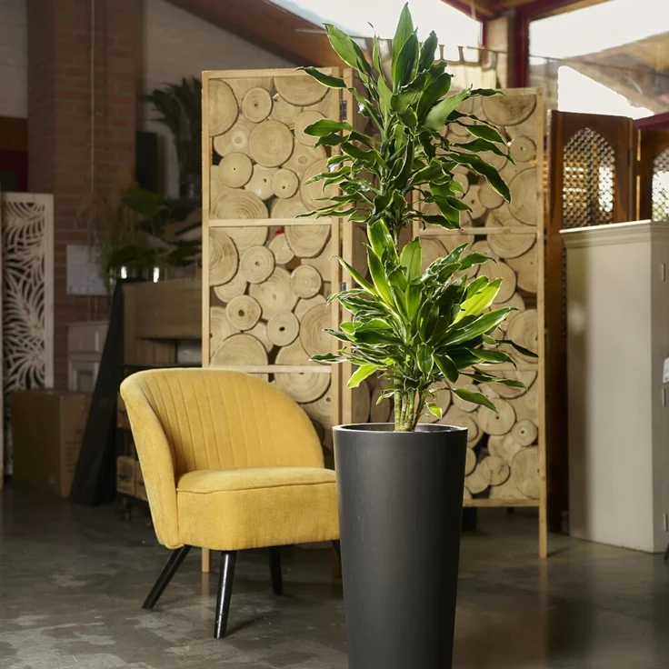 Pflanztopf TUIT RAW 40cm – Bild 3