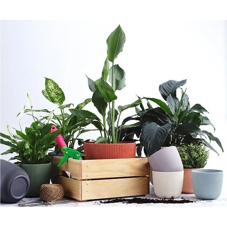 Engelland Blumentopf Pflanztopf mit Drainagesystem (Vorteils-Set, 1 St, robuster PP-Kunststoff), Rillenoptik, UV-resistent, Drainagesystem, direkte Bepflanzung – Bild 2
