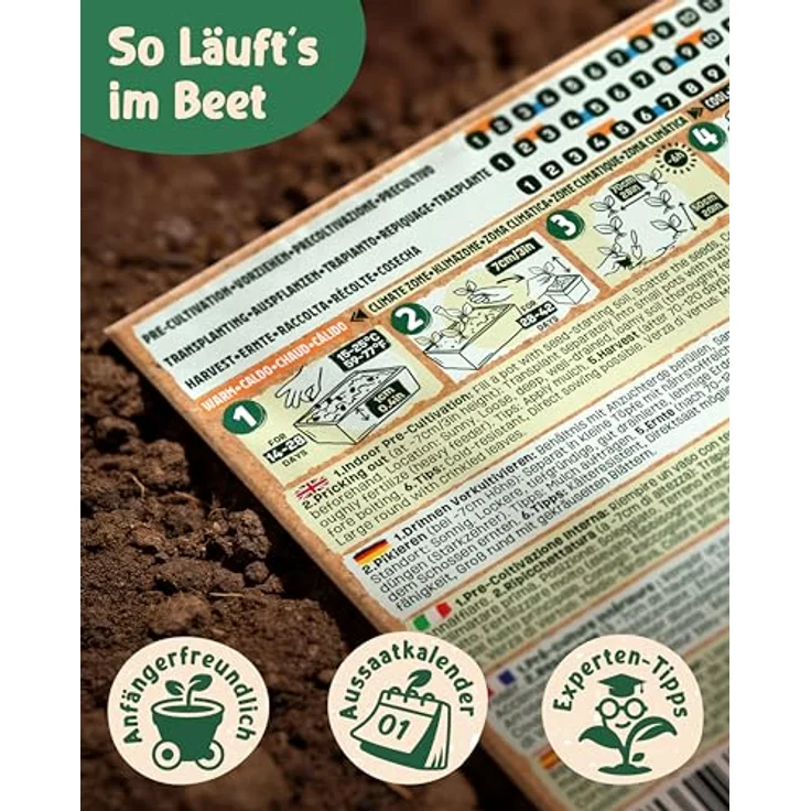 ZenGreens® - Bio Kohlgemüsesamen im 6er Set - 6 Kohl Gemüse Samen für den einfachen Anbau im Garten, Balkon oder Hochbeet - Pflanzensamen - Saatgut – Bild 8