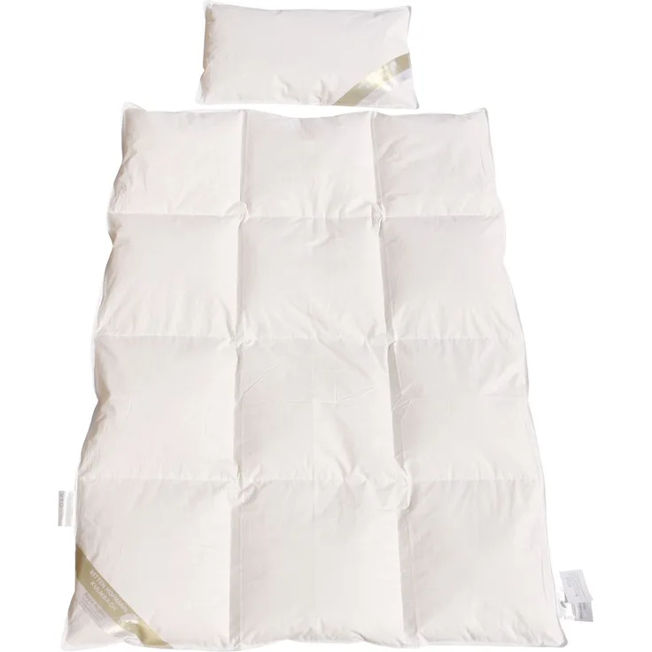 Betten Hofmann Franken Ganzjahres-Set Kinder Baby 100x135 + 40x60 100% Daunen