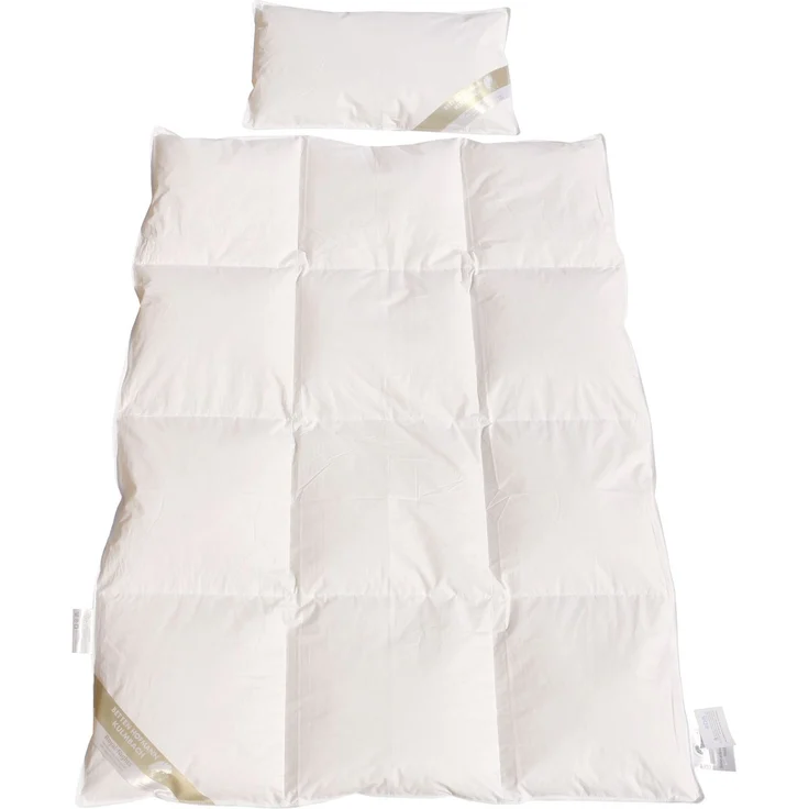 Betten Hofmann Franken Ganzjahres-Set Kinder Baby 100x135 + 40x60 100% Daunen – Bild 1
