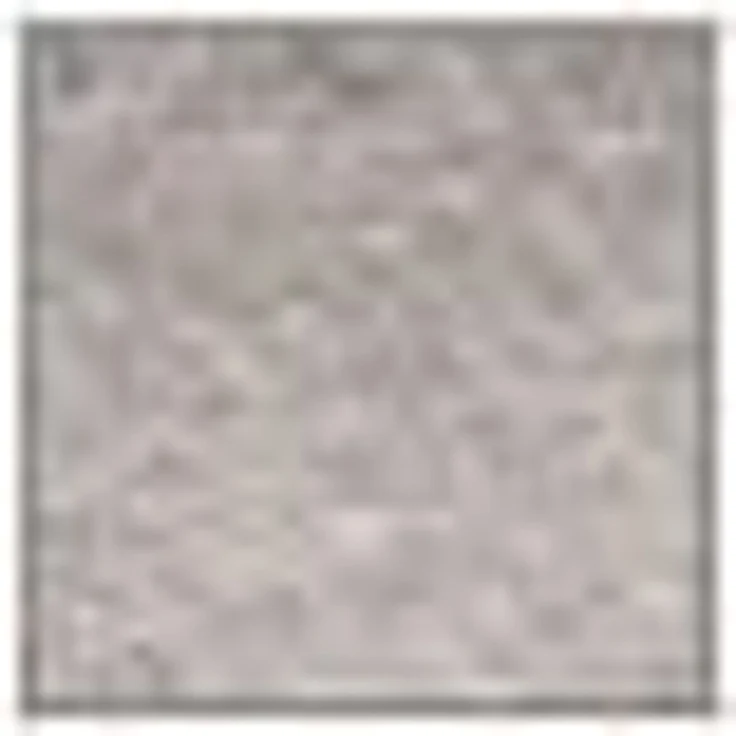 Wohndecke Basics, SCHÖNER WOHNEN-Kollektion, mit Fransen, Kuscheldecke – Bild 2