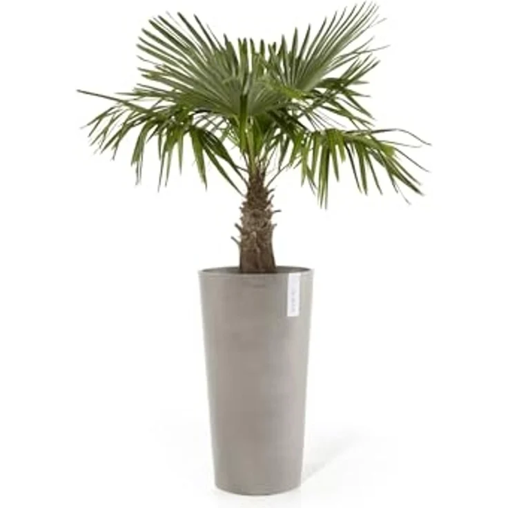 ECOPOTS Blumentopf AMSTERDAM HIGH Taupe, BxTxH: 41x41x76 cm – Bild 2