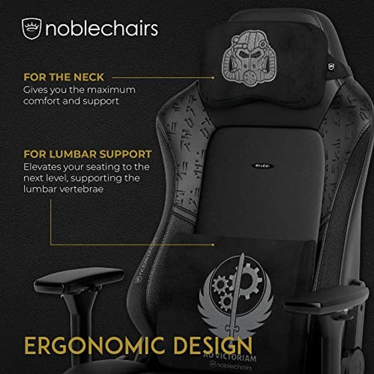 noblechairs Memory Foam Kissen-Set Fallout Brotherhood of Steel Special Edition, Ergonomisches Kissen für Gaming-Stühle mit Lendenwirbelstütze und Nackenkissen, schwarzer Polyesterbezug – Bild 2