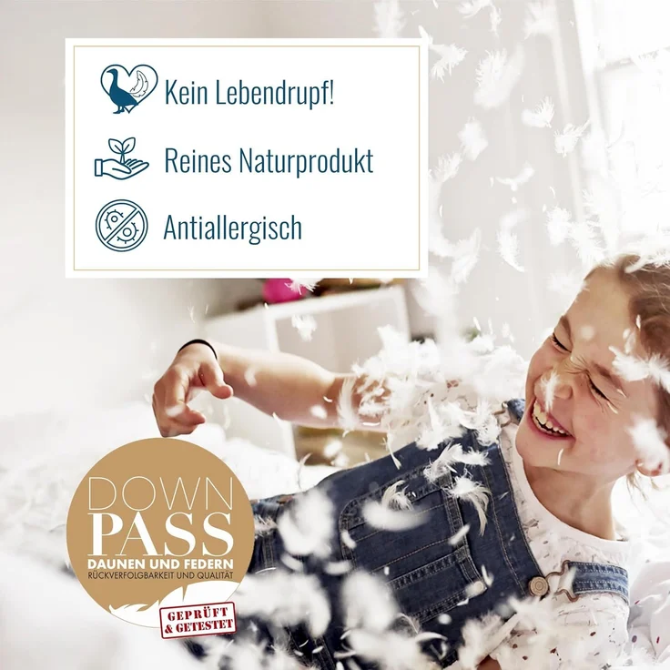 Kopfkissen 1100g neue 15% Daunen 85% Federn Daunenpass 80x80 fest – Bild 2