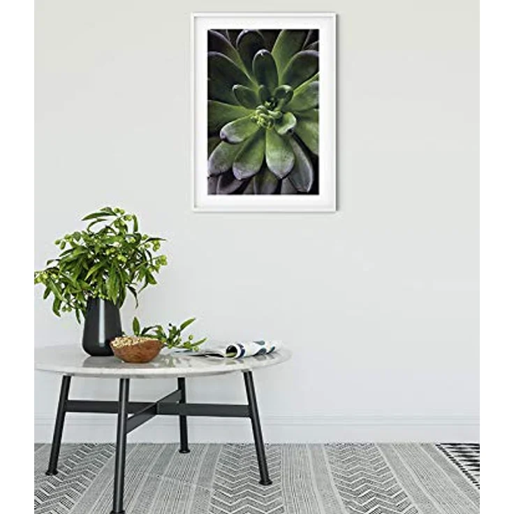 Komar Wandbild Succulent Single, hochwertiger Kunstdruck auf Premium-Poster Fotopapier, ohne Rahmen, 50 x 70 cm – Bild 2
