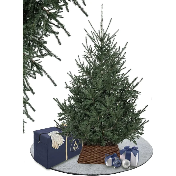 EveXmas Alpine Künstlicher Weihnachtsbaum Grün 220 cm – 826 Astspitzen, inkl. klappbarem Metallständer