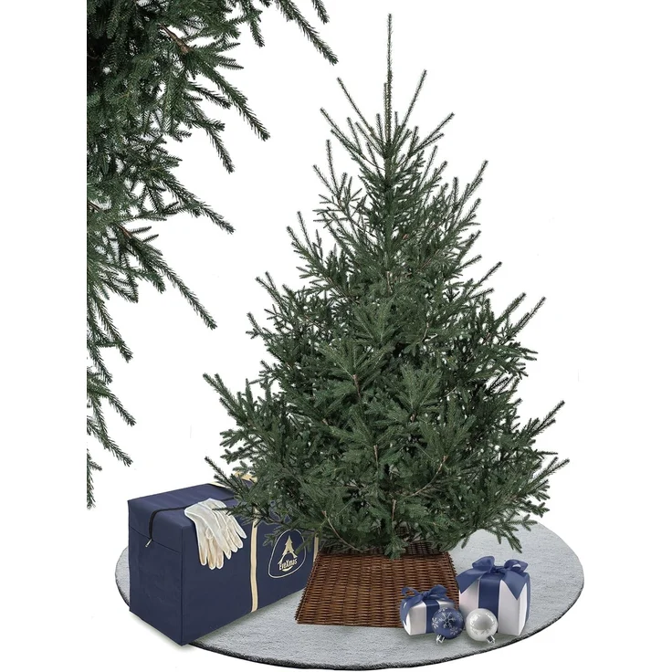 EveXmas Alpine Künstlicher Weihnachtsbaum Grün 220 cm – 826 Astspitzen, inkl. klappbarem Metallständer – Bild 1