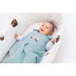 Fillikid Moseskorb, natur