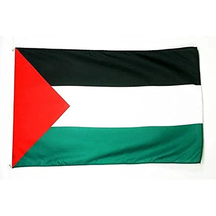AZ FLAG - Flagge Palästina - 90x60 cm - Palästinensische Fahne 100% Polyester mit Messing-Ösen - 50g – Bild 4