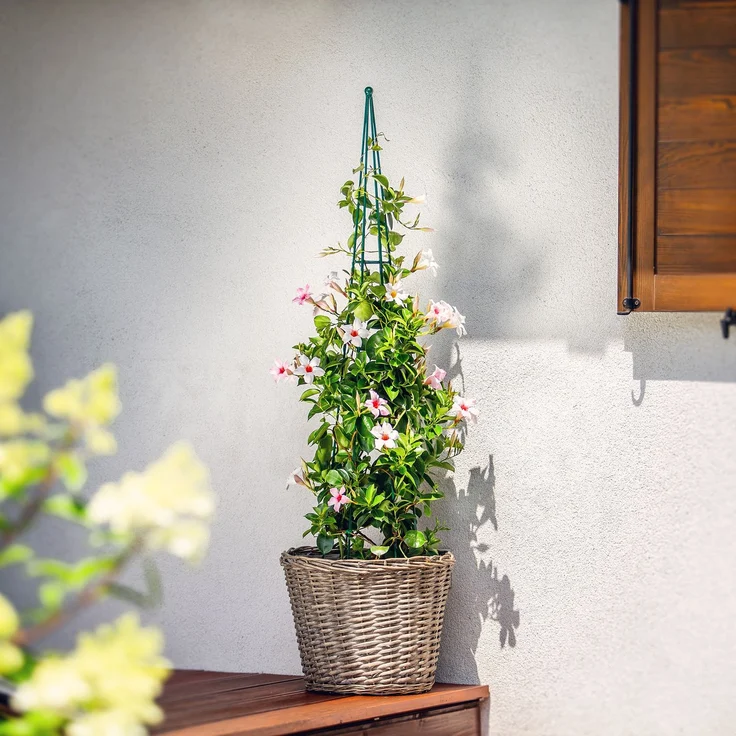 KADAX Pflanzenstütze für den Garten, Rankenkegel, 120 cm – Bild 3