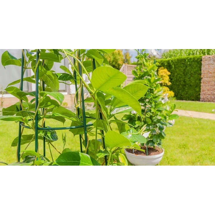 KADAX Gartenkegelstütze für Kletterpflanzen 150 cm – Bild 7
