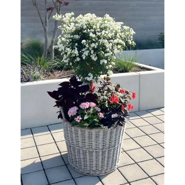Rattan Pflanzkorb "Rustikal" rund Ø 60x45 cm groß, grau, Outdoor Blumentopf, Pflanzkübel, Pflanztopf für Draußen, Blumenkübel – Bild 3