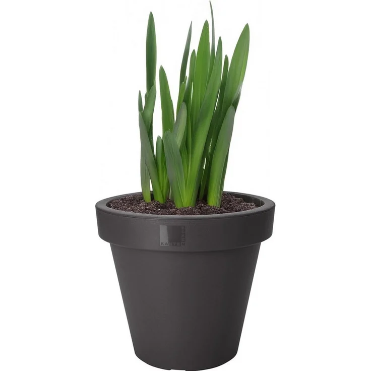 Koopman Blumentopf Blumenkübel Pflanzkübel 3 Größen 2/4 er Set (Set, 4 St, Packung), 4 Stk, Indoor & Outdoor, Schwarz, Kunststoff, Übertopf Garten – Bild 3
