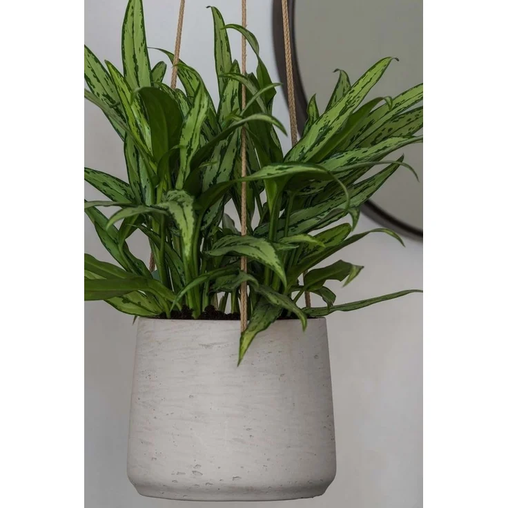 finestgreen Blumenampel Handgefertigte Blumenampel Hanging Patt – Bild 4
