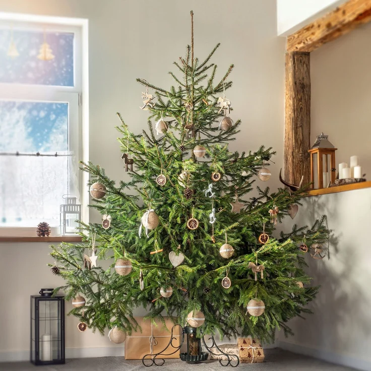 KADAX Weihnachtsbaumständer Weihnachtsbaumständer – Bild 9